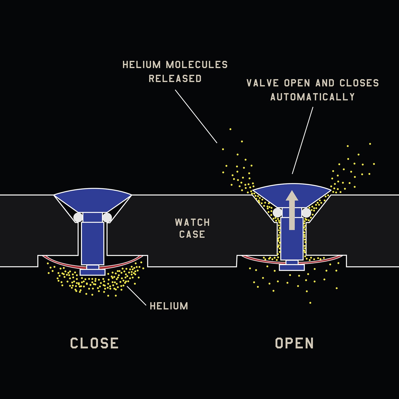 Helium valve of 16600 - Rolex Forums - Rolex Watch Forum